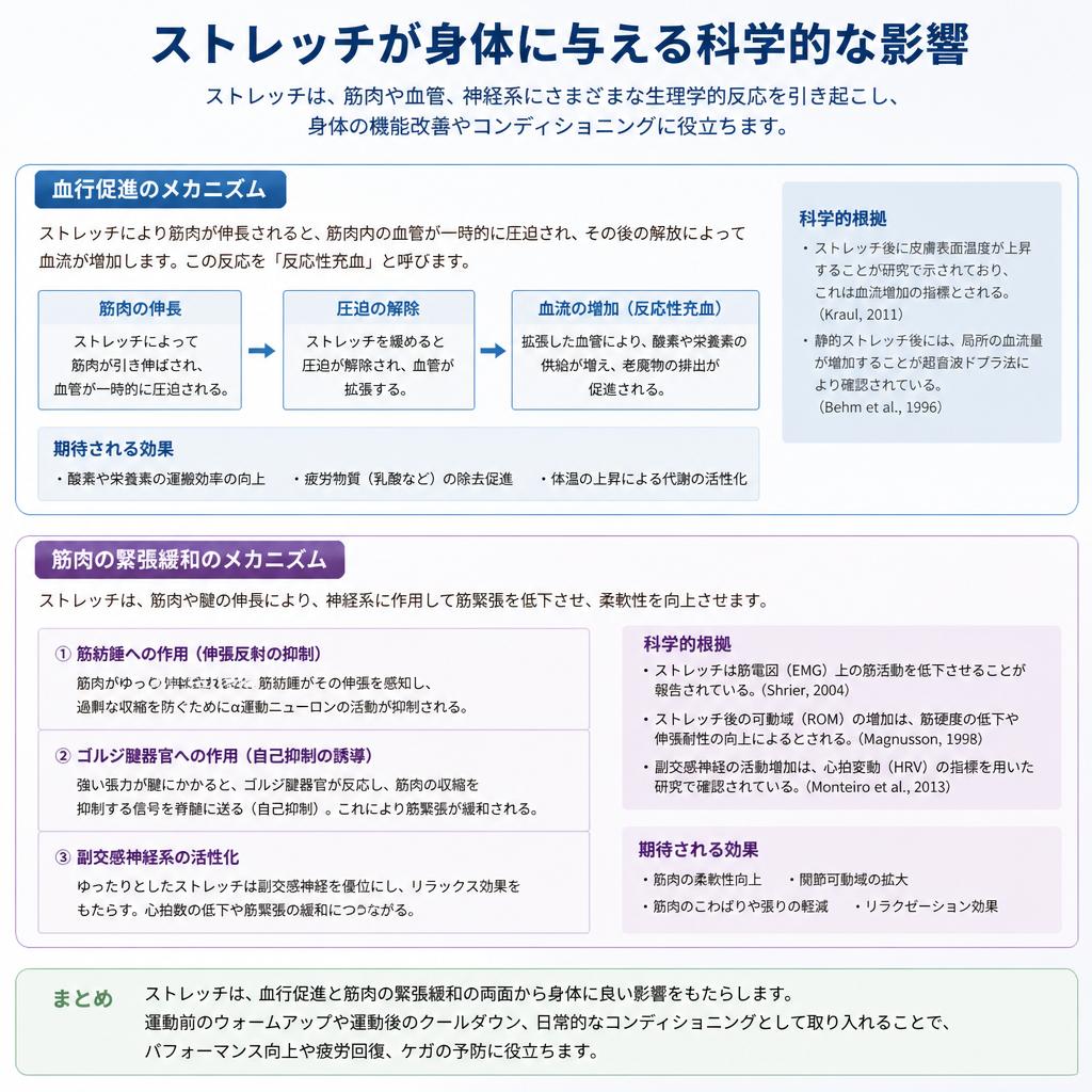 ストレッチの生理学的効果