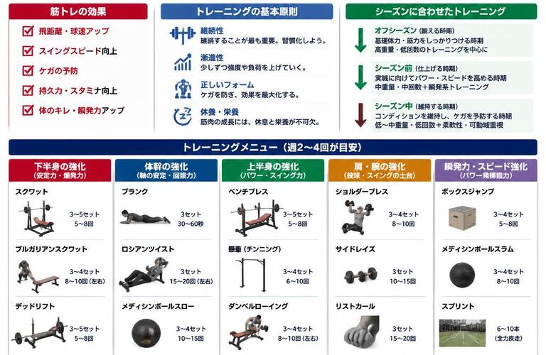 野球の球速・スイングスピードを上げる筋力強化法